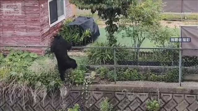 “クマ”宇都宮市の学校で授業再開　目撃受け3日間休校