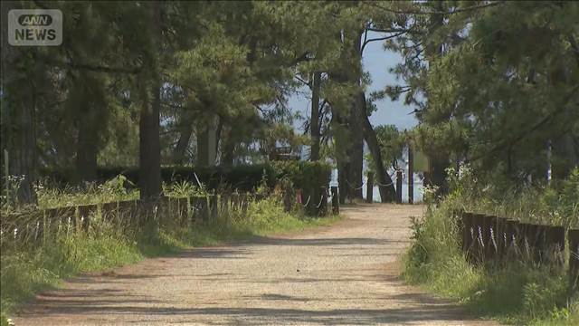観光名所「天橋立」で再びクマ目撃情報　通行止めにして捜索　京都・宮津市