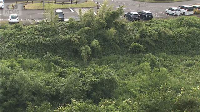 広瀬川の河川敷でクマ1頭目撃　現場周辺で注意呼びかけ