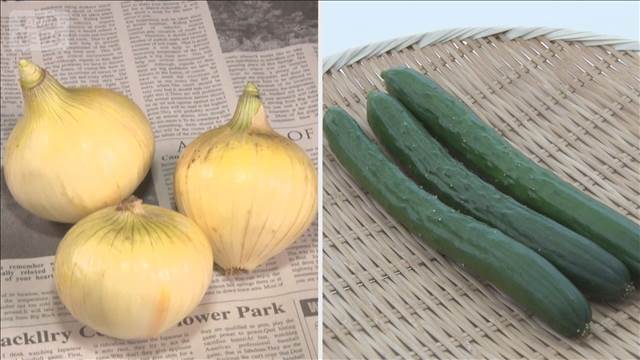 キュウリ価格上昇、卸値は前年比31円高　タマネギは天候に恵まれ2年ぶりの安値