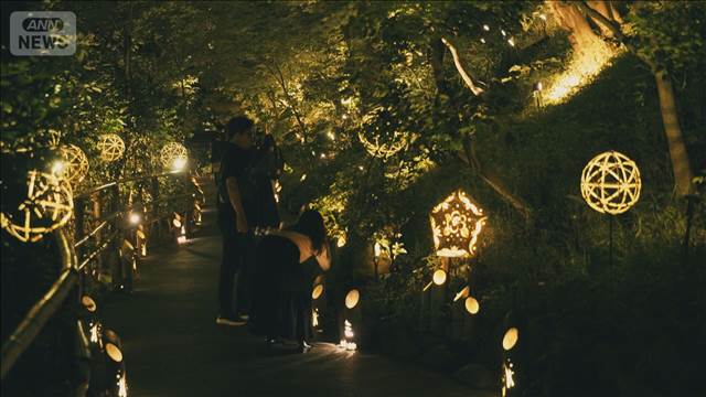 都心の夜に舞う 幻想的なホタルの光　東京・文京区 ホテル椿山荘東京