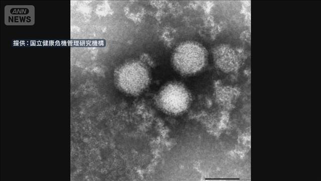 マダニが主な感染源「SFTS」 72人が感染　過去最多ペース　注意呼びかけ