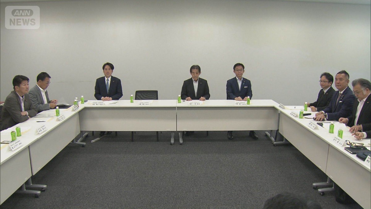 与野党　SNS誤情報対策など法案要綱まとめる　早ければ来週にも法案提出