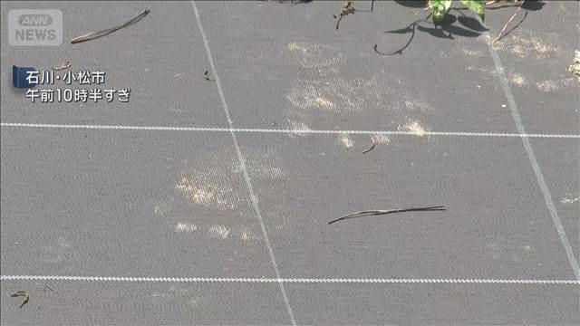 各地で相次ぐクマ被害 　石川と奈良で男性けが
