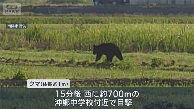 緊急銃猟でクマ1頭を駆除　きのうから目撃相次ぐ　山形・南陽市