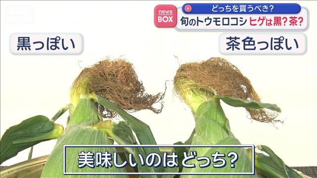 旬のトウモロコシ　ヒゲは黒？茶？　どっちを買うべき？