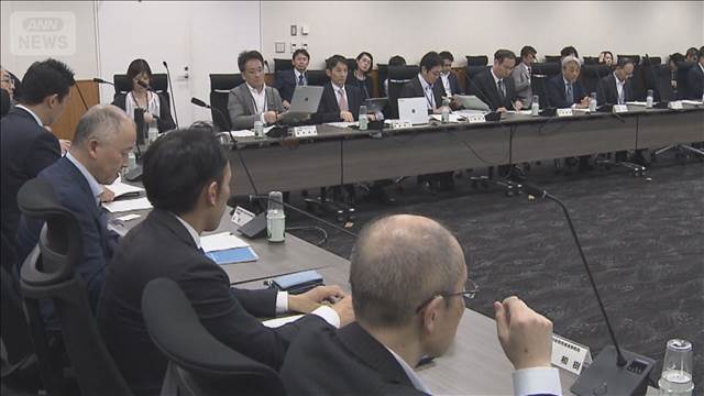 日本のマンガ海外配信サービスを検討　「世界中の若者を熱狂させる」