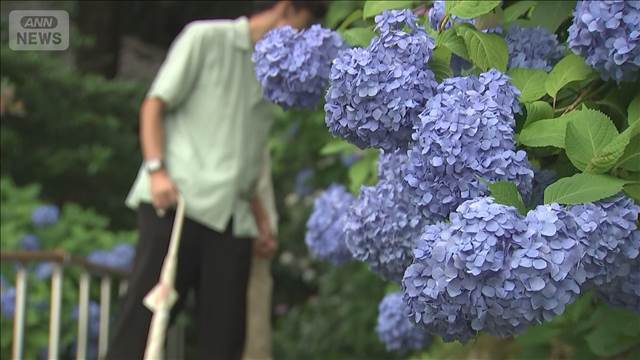 【速報】北陸と東北南部が梅雨入り　平年比でそれぞれ9日と8日遅い