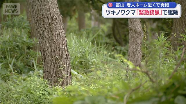 「緊急銃猟」老人ホーム近くで発砲しグマ駆除 目撃相次ぎ警戒中　富山・朝日町