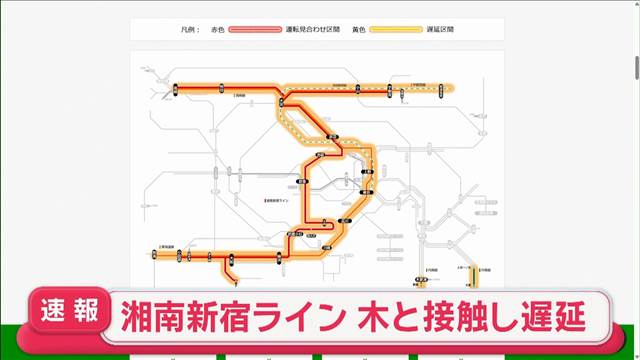 【速報】JR湘南新宿ラインに遅れ　倒木に列車が接触