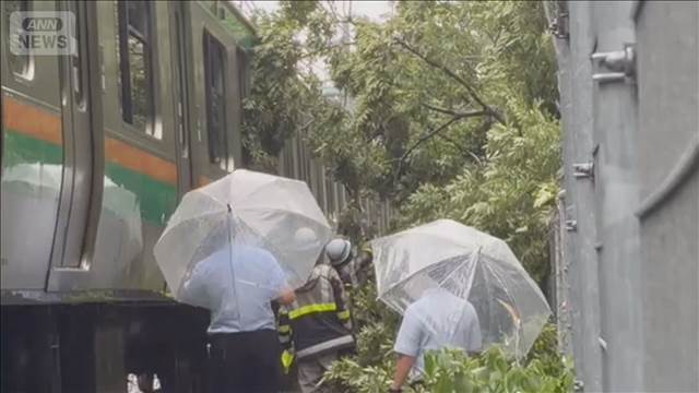JR湘南新宿ラインが運転再開　木との接触で一時運転見合わせ