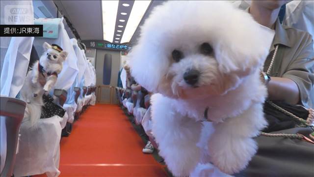 「わんわんエクスプレス」 愛犬と一緒に新幹線で旅行　制帽をかぶって記念撮影も