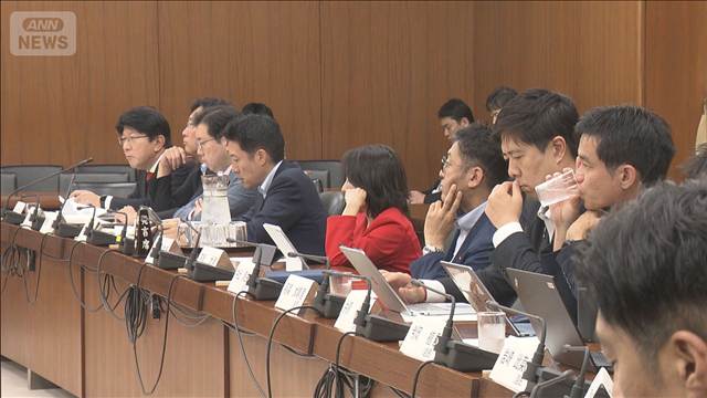 「企業・団体献金」の法案審議　裏金事件後 議論続く　禁止や透明性強化で温度差