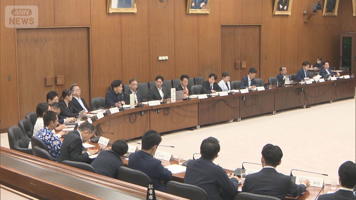 選挙時のSNS規制法案が成立へ
