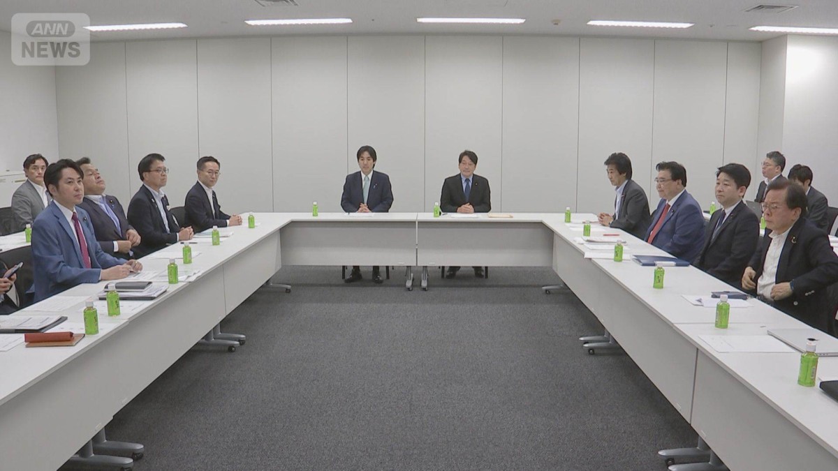 国民会議「中間取りまとめ案」野党が反発
