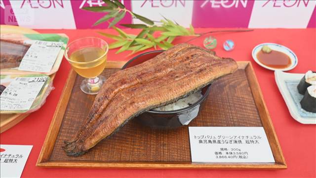 イオン、うなぎ500円値下げ　豊漁受けて価格見直し　過去最大300グラムの蒲焼も