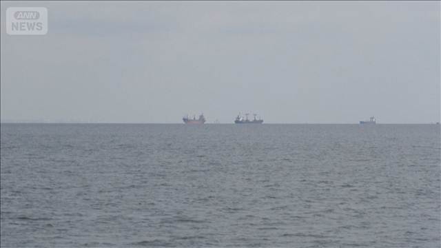 黒海でイルカが大量死　ロシア侵攻以降10万頭　機雷や軍艦からの低周波音が影響か