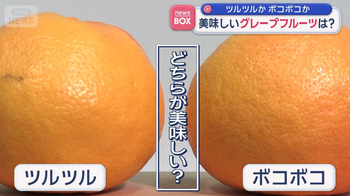 ツルツルかボコボコか　美味しいグレープフルーツはどっち？
