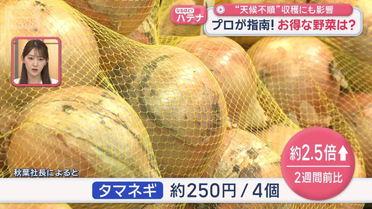 プロが指南！今お得な野菜は？　“天候不順”収穫にも影響