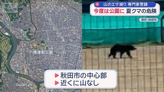 今度は公園に　夏クマの危険　山のエサ減り　専門家警鐘