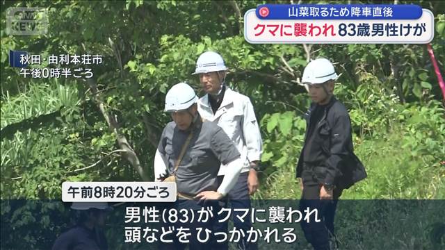 クマに襲われ83歳男性けが 山菜取るため降車直後に　秋田・由利本荘市
