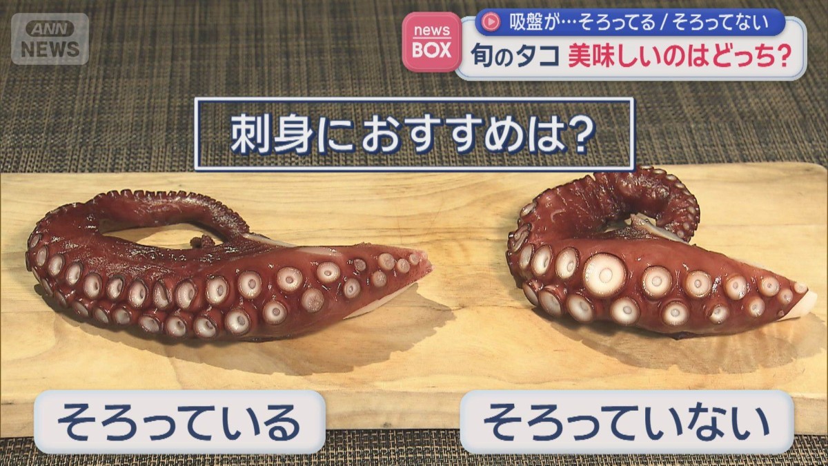 吸盤が…そろってる/そろってない　旬のタコ 美味しいのはどっち？