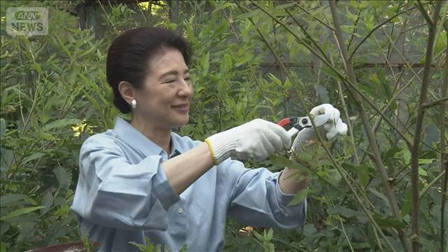 皇后さま 繭の収繭に挑まれる　皇居の紅葉山御養蚕所で