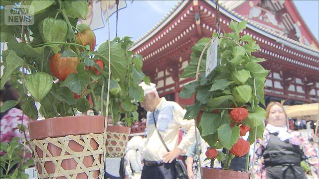 浅草寺で夏の風物詩「ほおずき市」始まる　多くの外国人観光客らで賑わう
