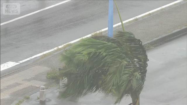 台風9号　沖縄県で軽傷5人　総務省消防庁