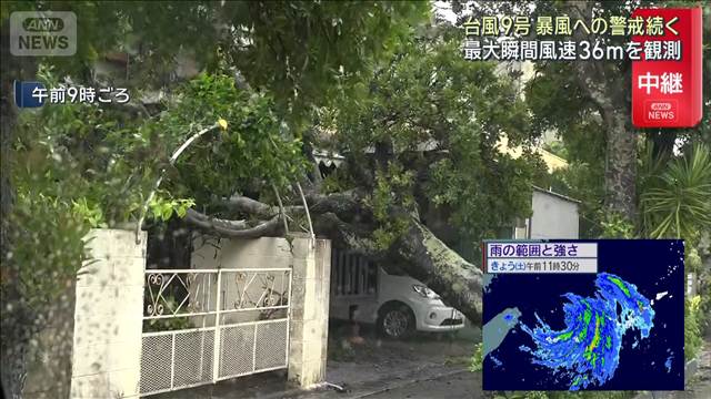 大型で強い台風9号 暴風への警戒続く石垣島の様子は　最大瞬間風速36mを観測