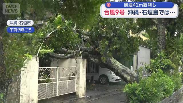 大型で強い台風9号 風速42m観測も　沖縄・石垣島では