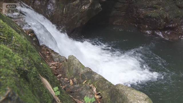 愛知と岐阜で水難事故相次ぐ　24歳と65歳の男性が死亡