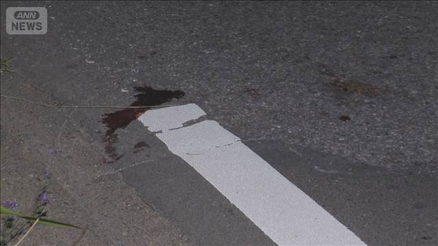 ひき逃げされ80代女性死亡　軽貨物車は逃走　警察が捜査　茨城・筑西市