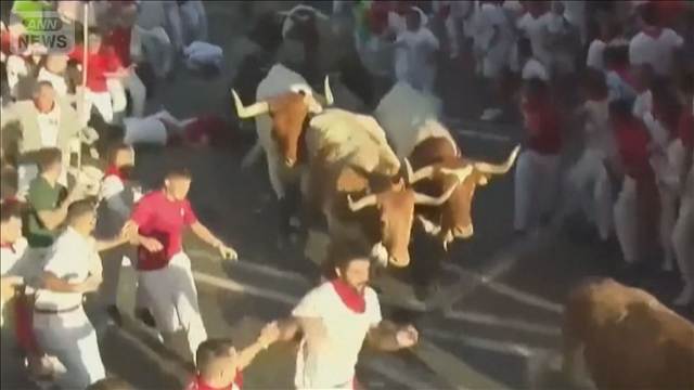 スペイン「牛追い祭り」　旧市街を突進　角に突かれ踏まれ14人けが