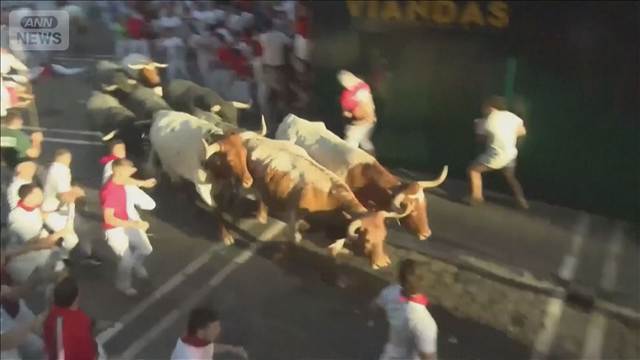 スペイン伝統の「牛追い祭り」　角で突かれるなどけが人続出