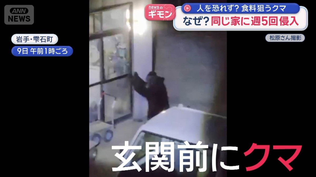 ④クマさん商店【プロフ確認】さん専用 人を恐れず食料狙うクマ 同じ家に週5回侵入 専門家「家をエサ場と認識