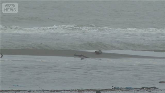 5人乗りゴムボートが転覆 男性1人死亡 未明に密漁か 北海道稚内市