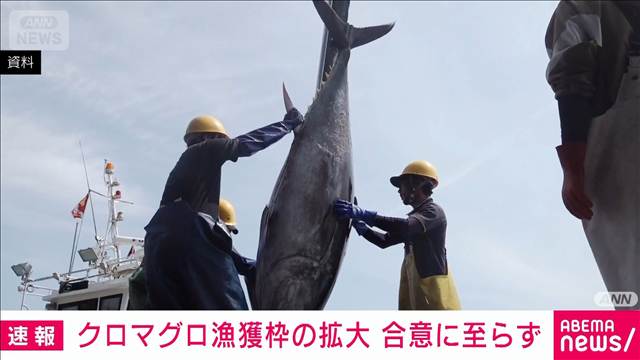太平洋クロマグロの国際会議　来年の漁獲枠拡大の合意至らず　メキシコが反発