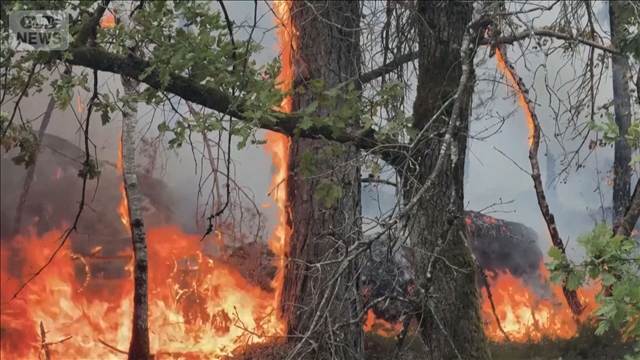 パリ近郊の森林で大規模火災　約1000人が避難　マクロン大統領「異例の規模」