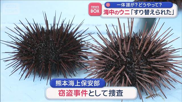 海中のウニ「すり替えられた」　一体誰が？どうやって？　窃盗事件で捜査