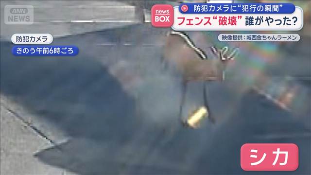 フェンス“破壊”誰がやった？　防犯カメラに“犯行の瞬間”