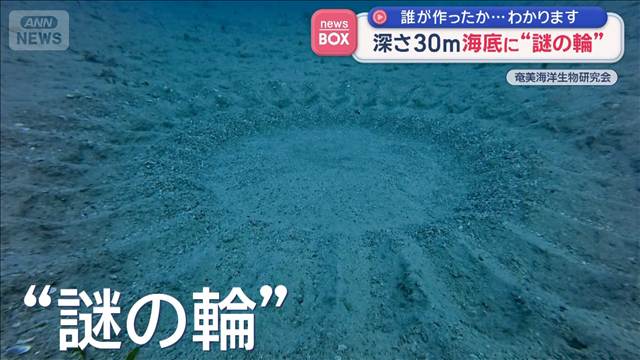 深さ30m海底に“謎の輪”　誰が作ったか…わかります