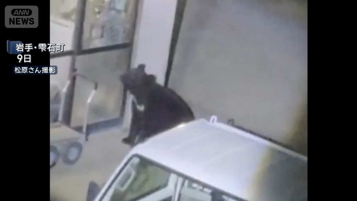 くまっち様確認専用ページ【取り置き中　4月6日迄】 クマ1頭を捕獲 住宅侵入を繰り返した個体か 岩手・雫石町