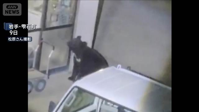 クマ1頭を捕獲　住宅侵入を繰り返した個体か　岩手・雫石町