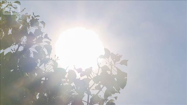 夏バテ「業務に影響した」64.4％　対策している企業32.7％…冷蔵庫設置や夏季休暇拡大