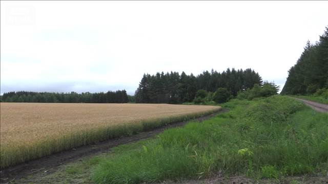 ハンターが襲われ重傷 クマは死骸で発見　北海道