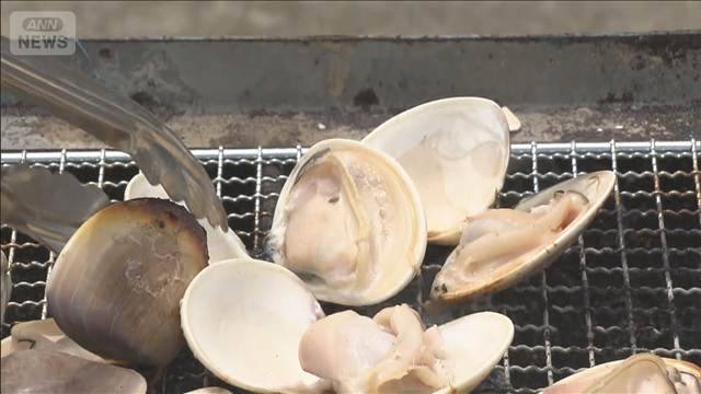 千葉・九十九里で“はまぐり祭り”箸でつまむ量を競う「つまみどり」も