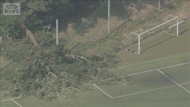倒木 高さ20m「木がバウンドする衝撃」幼児2人含む7人けが 小学生サッカー大会