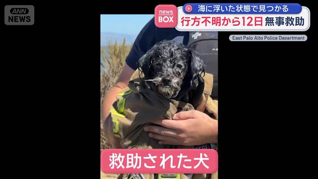 行方不明から“数週間”無事救助　海に浮いた状態で見つかる　アメリカ