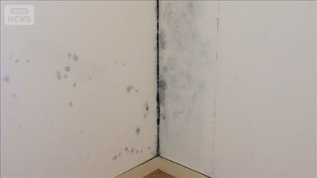 夏の結露にご用心　気温差でカビ繁殖の可能性　壁の中、床下で発生しやすく